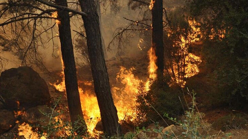 Orman yangınlarında Akdeniz ve Güney Ege’de ‘çok aşırı tehlike’ uyarısı