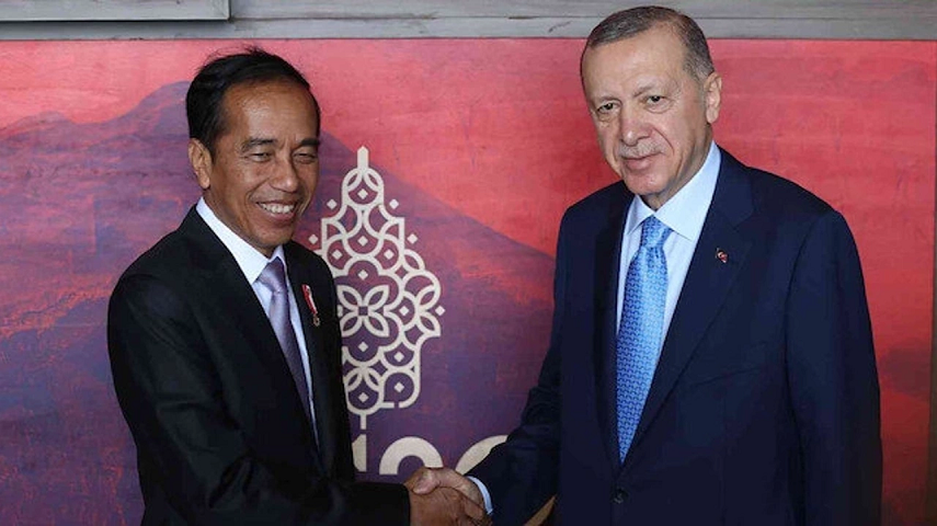 Cumhurbaşkanı Erdoğan Widodo ile görüştü