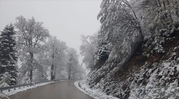 Bolu-Yedigöller yolu kar ve buzlanma nedeniyle kapatıldı